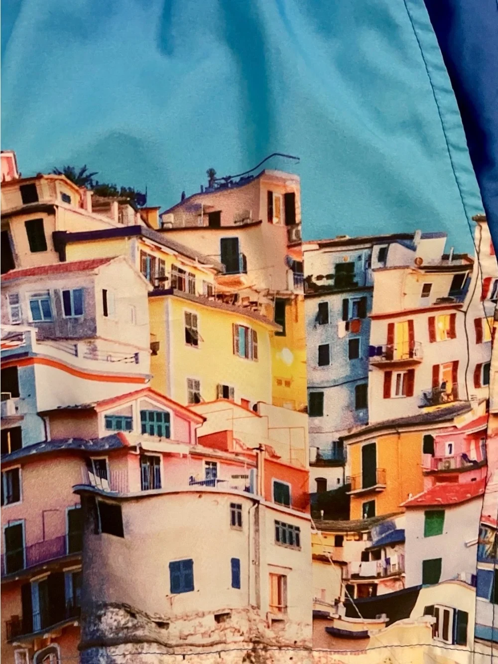 TOPMAN Unique CINQUE TERRE Italy Print SWIM TRUNKS Size Small